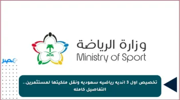 تخصيص أول 3 أندية رياضية سعودية ونقل ملكيتها لمستثمرين.. التفاصيل كاملة